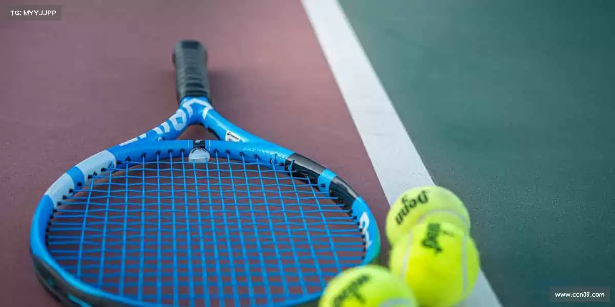 行业领先的理由